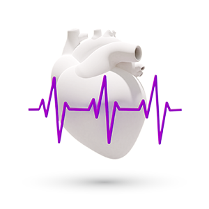 La medicina Cardiovascolare si occupa della fisiopatologia, clinica e terapia delle malattie cardiovascolari